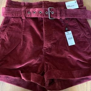 Burgundy corduroy belted shorts